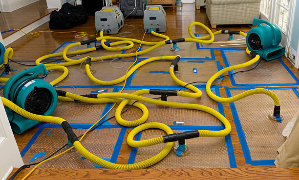 Professional Basement Flood Cleanup technician working in Walton, NE